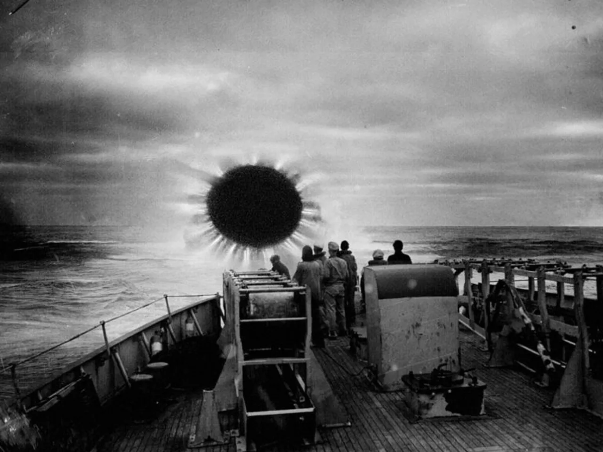 Фото из свободных источников.