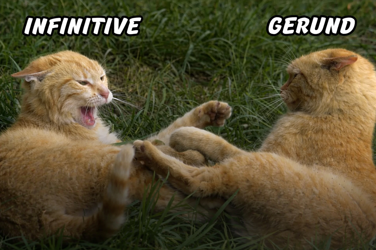 Фото: https://avatars.mds.yandex.net/i?id=6d796c7dd1f247ff94d14e92b315dd25_l-4032833-images-thumbs&n=13