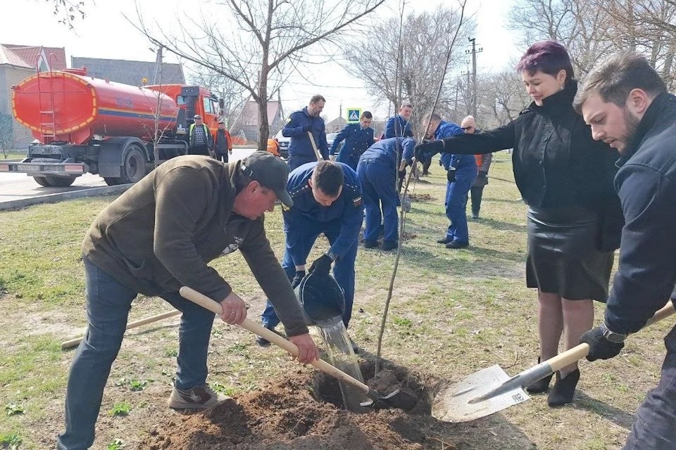   В Геническе сотрудники прокуратуры высадили 150 саженцев акаций Фото: прокуратура ХО