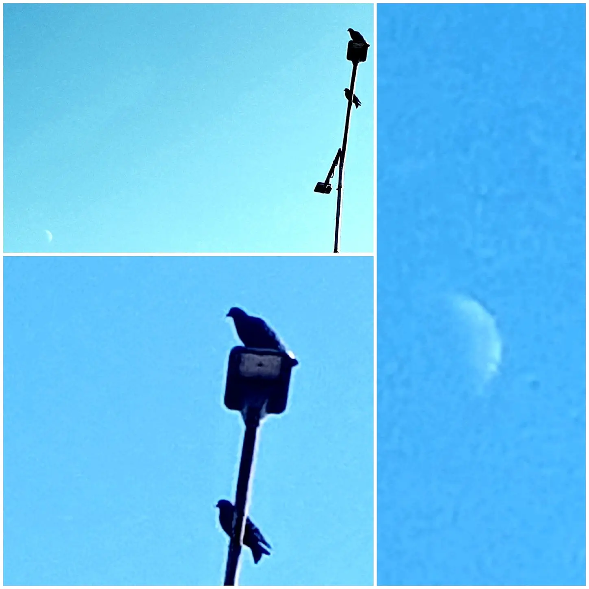 Фото автора статьи 24.03.2026г.