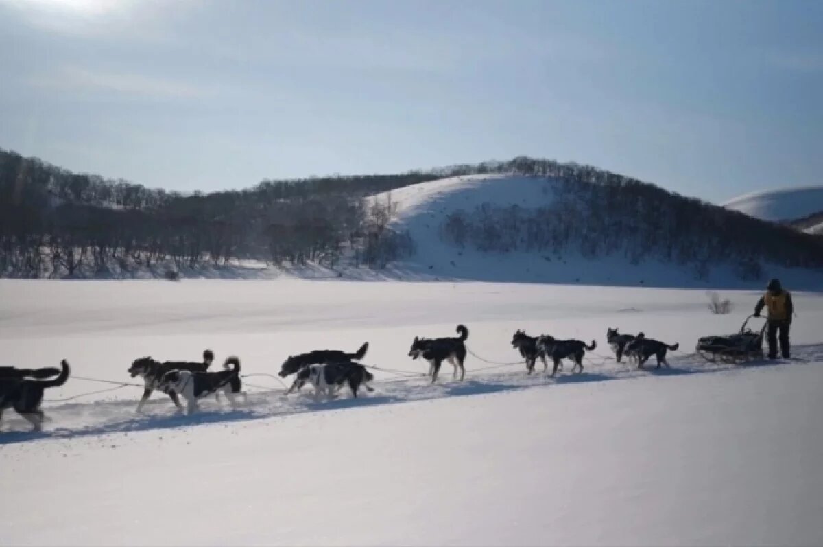    На Камчатке гонка «Берингия» возобновилась после остановки из-за пепла