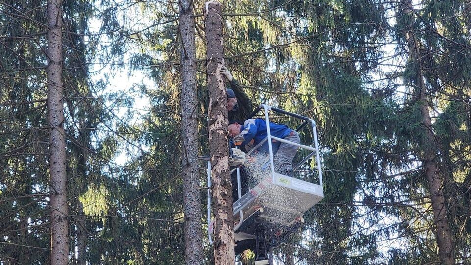     МедиаБанк Подмосковья / Дмитрий Беденко