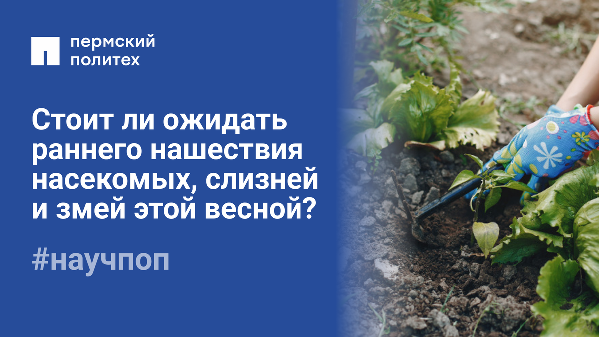 Фото: wirestock, Freepik