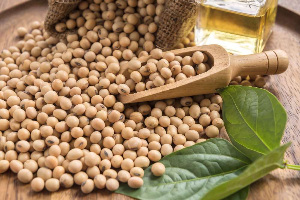 Фото: Aedka / Freepik