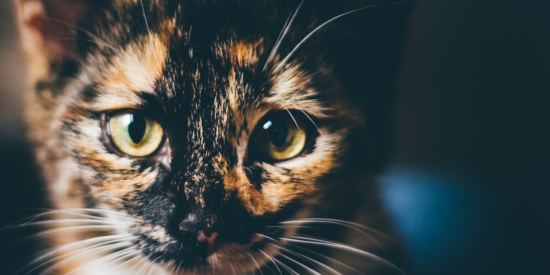 Просто быть рядом