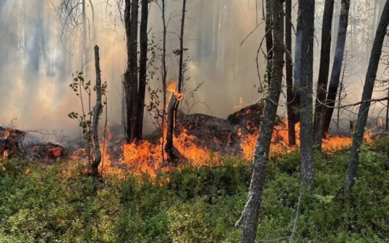    Госкомитет Карелии по безопасности