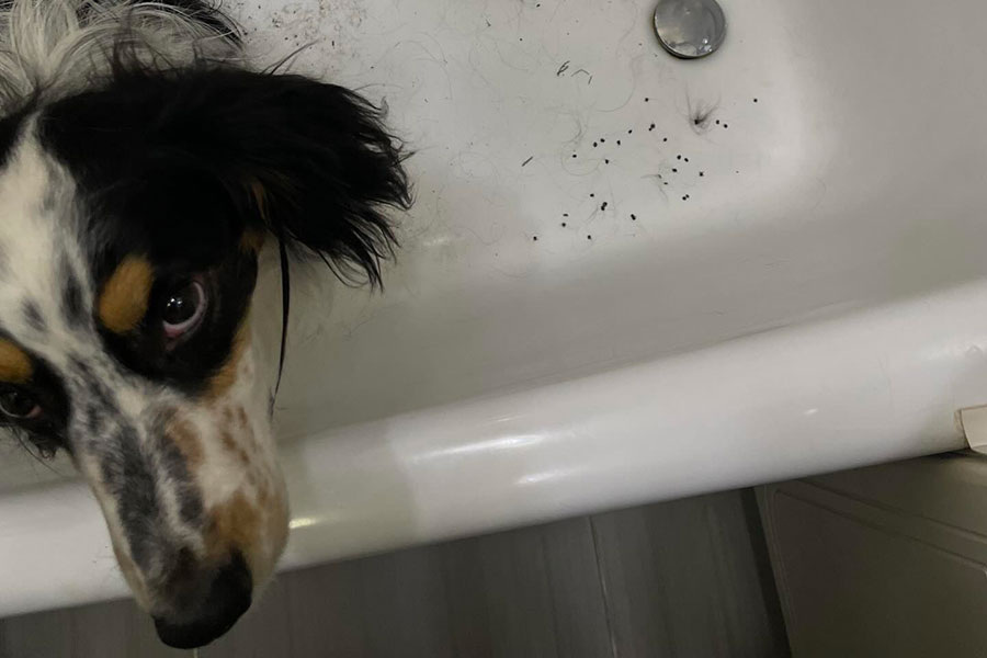    Фото: andrey_mozol / Threads