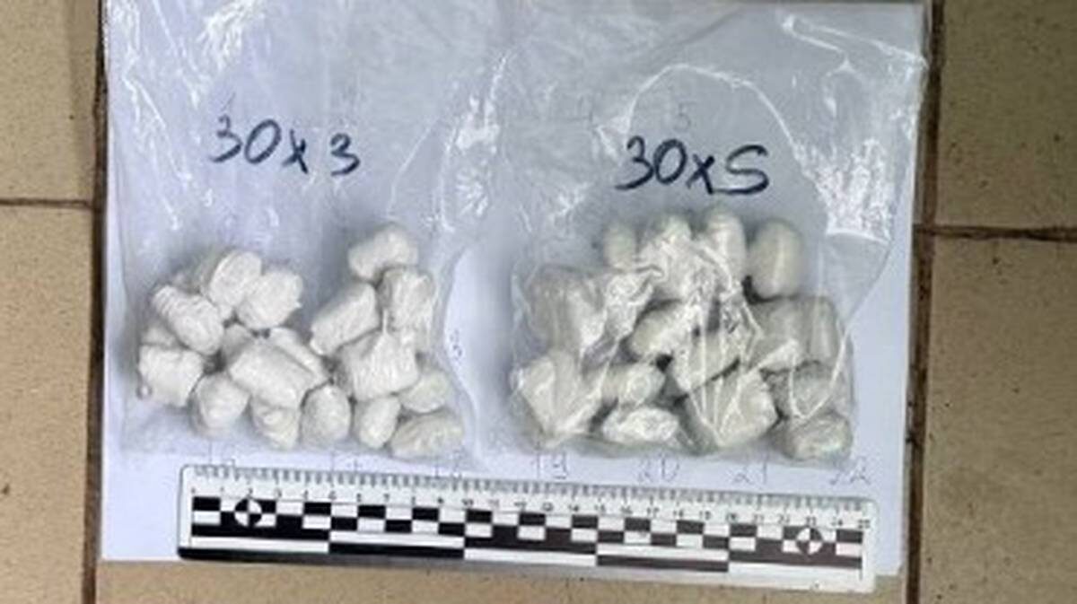    Фото: Пресс-служба ГУ МВД России по г. Москве