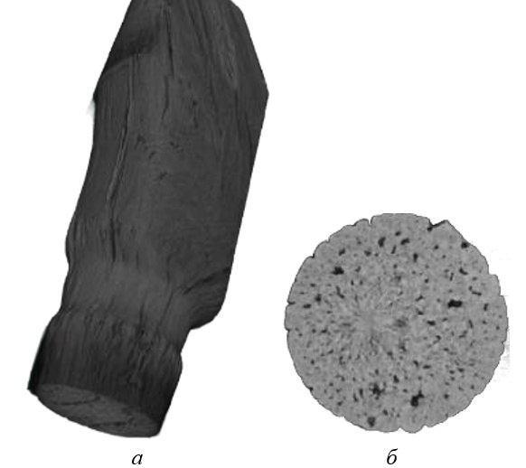Фото: пресс-служба ПНИПУ. Аксонометрическая КТ проекция имплантата из УУКМ (а), срез томограммы имплантата (б)