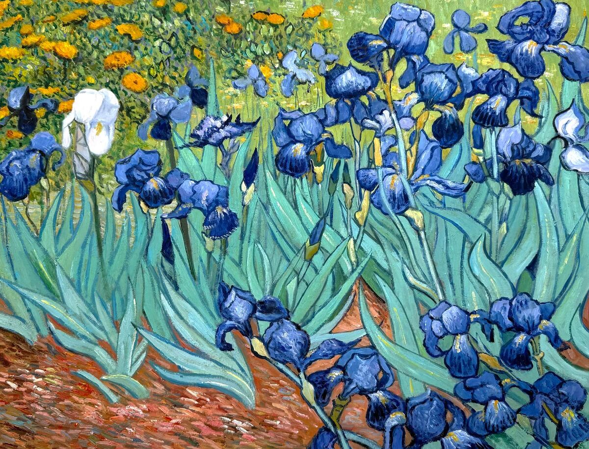 Картина Ван Гога, Ирисы, 1889