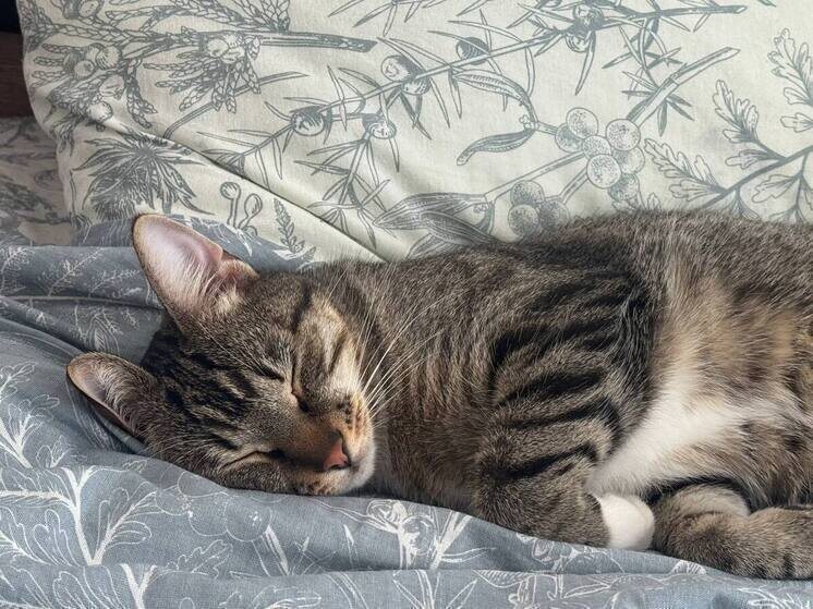     Авторы исследования также выяснили, что лучше не лежать в ванне слишком долго. Фото: Архив МК в Великом Новгороде