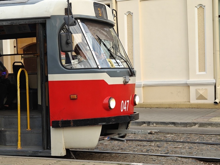    Фото: Юрий Серебренников/BFM Кубань