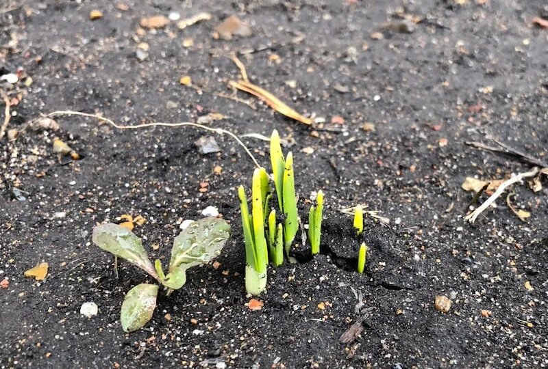 Погода в Стерлитамаке на среду, 25 марта 2026 года