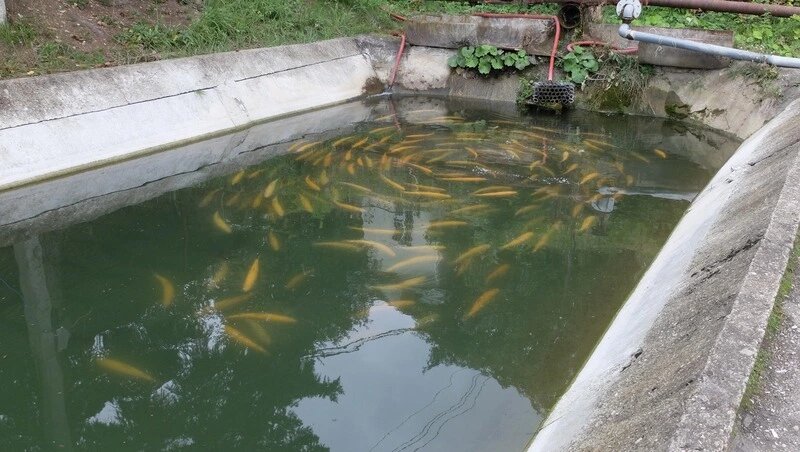      Фото: Администрация Предгорного округа