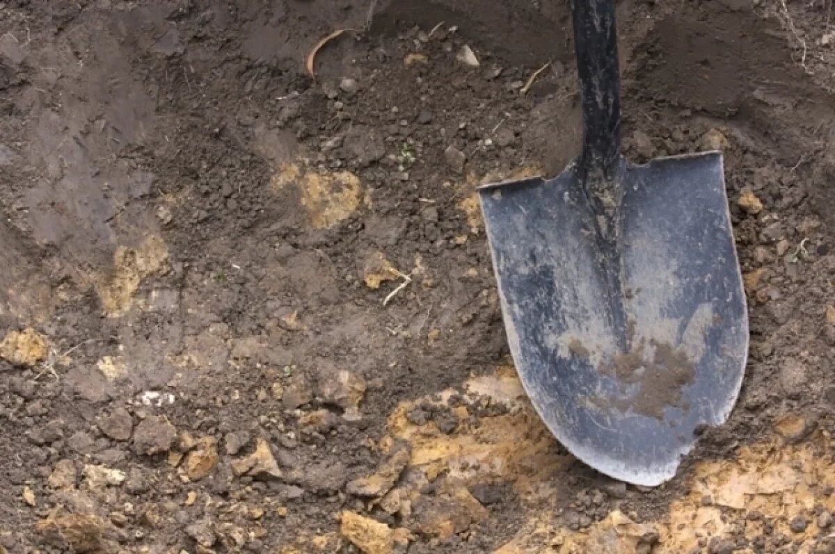    В Польше нашли захоронения вампиров XVIII века