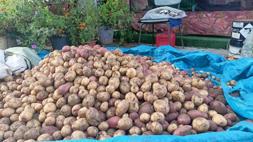    Фото: progorod43.ru