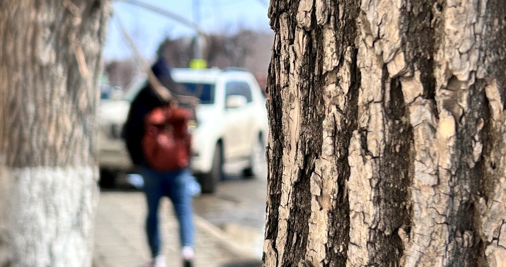 Правда ли, что за подработку могут уволить - юрист рассказал что скрывает ТК РФ