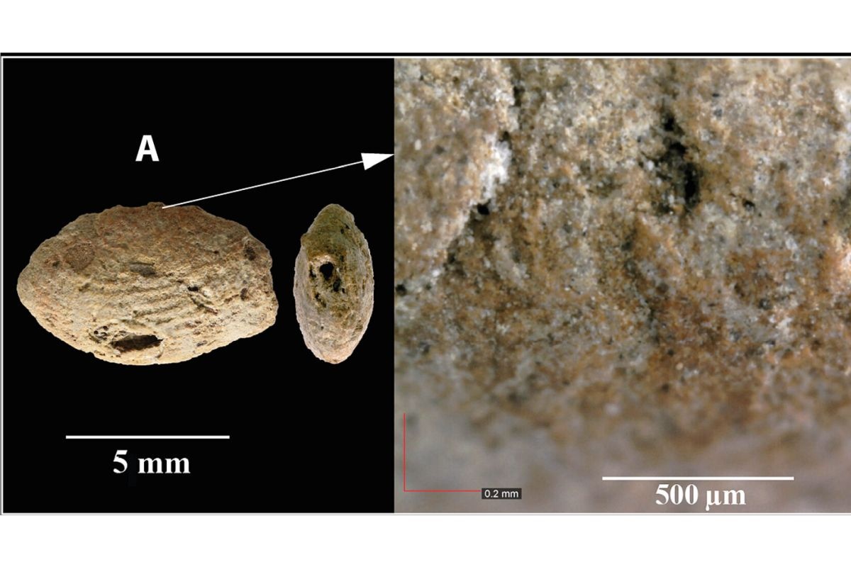    Самое поразительное открытие ученые сделали, изучив поверхность бусин. На них сохранилось полсотни отпечатков пальцев. / science.org