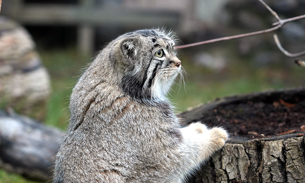    ©Агентство городских новостей "Москва"