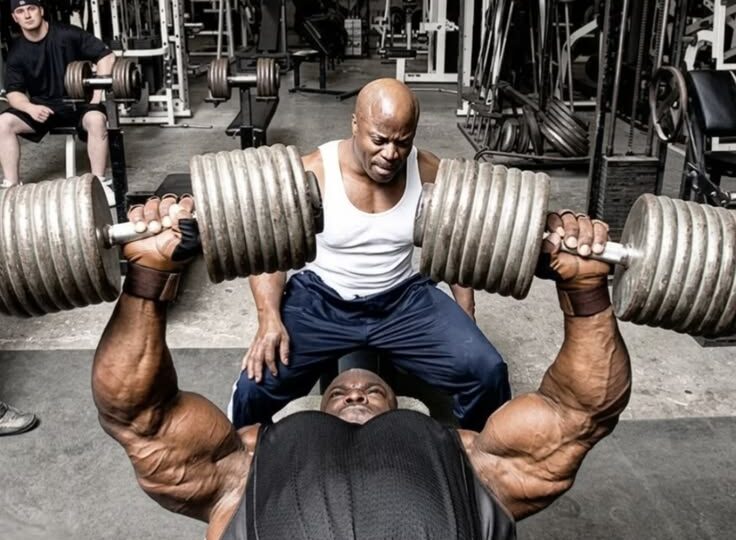 Жим гантелей лёжа, нужен ли?