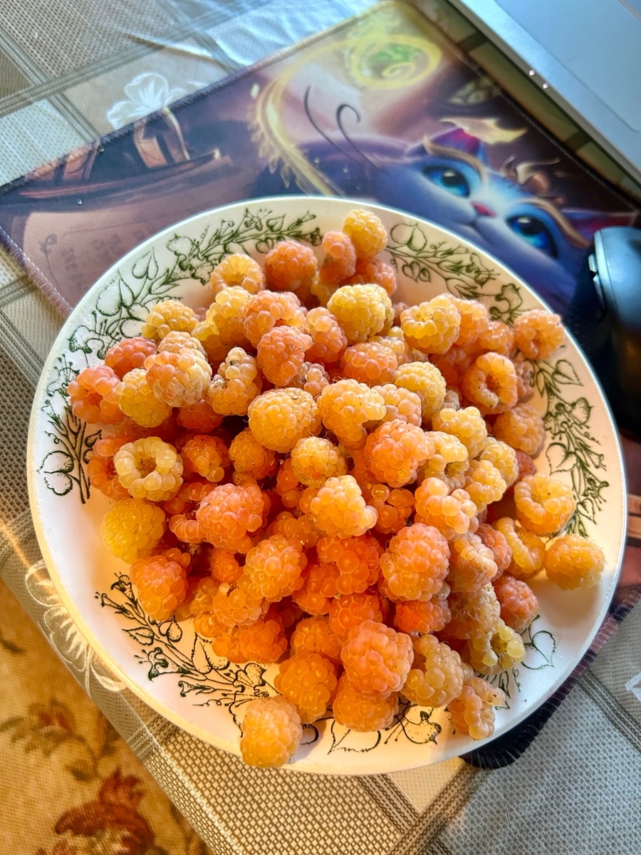 в прошлом году желтая малина была на заглядение, если не приглядываться и за морошку сойдет.