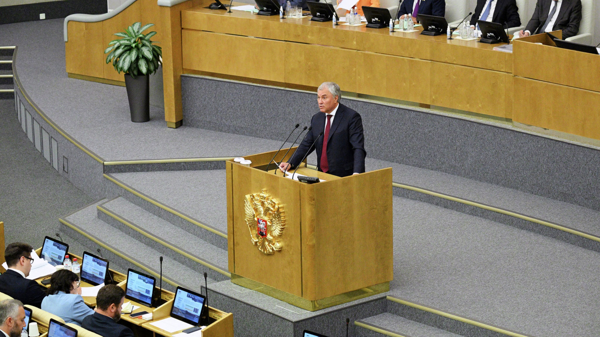    Госдума заседание Володин РИА