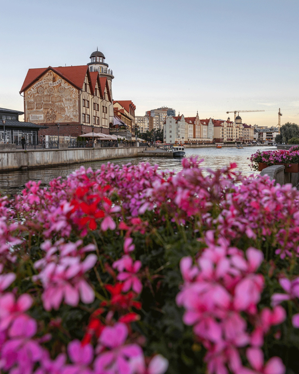 Красивое фото из архивов телефона.