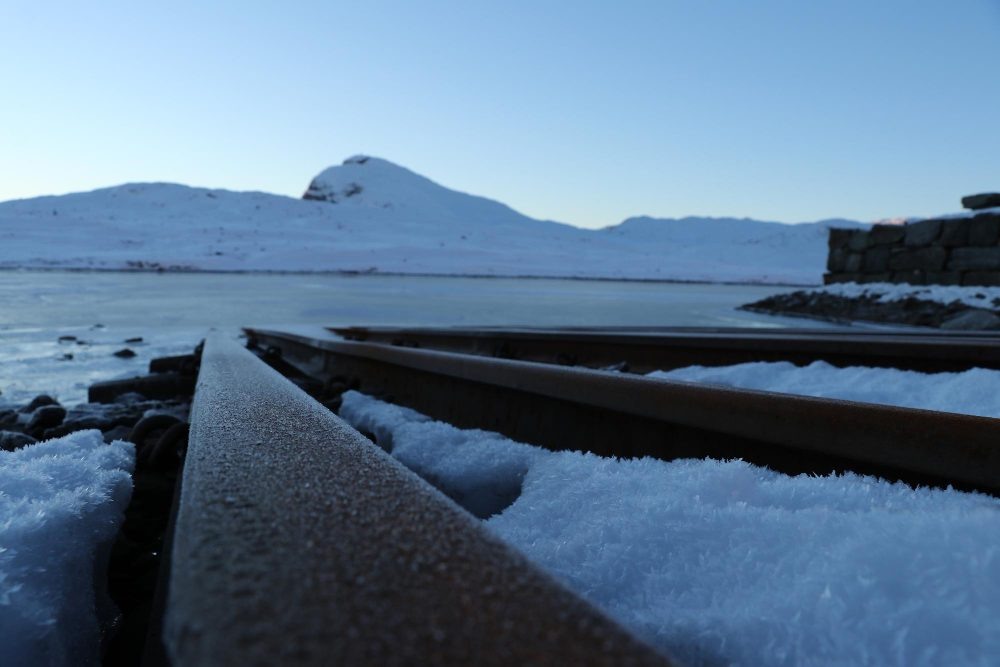    изображение от freepik