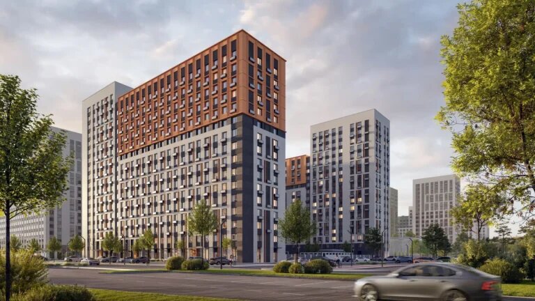 «Городской бор»