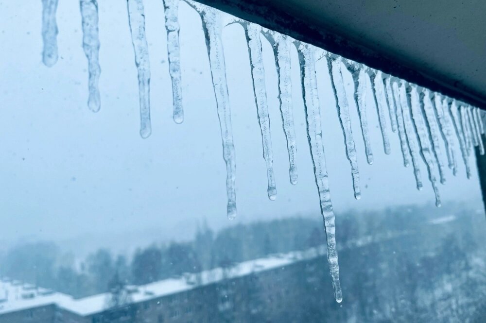    Фото: АиФ/ Дмитрий Рудяк