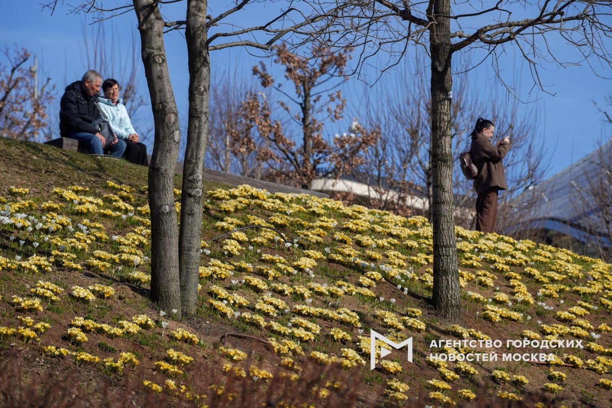 Фотограф: Александр Авилов