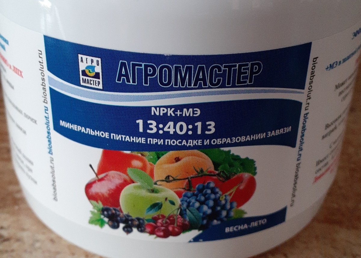 Чем подкормить рассаду в апреле и мае. Проверенный график подкормки рассады. Фото автора