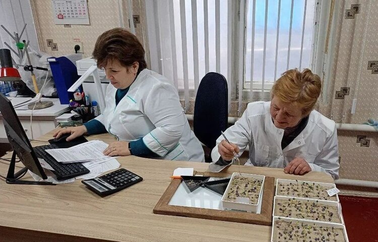    Фото: Служба по связям с общественностью филиала «Донецкий» Российского сельскохозяйственного центра