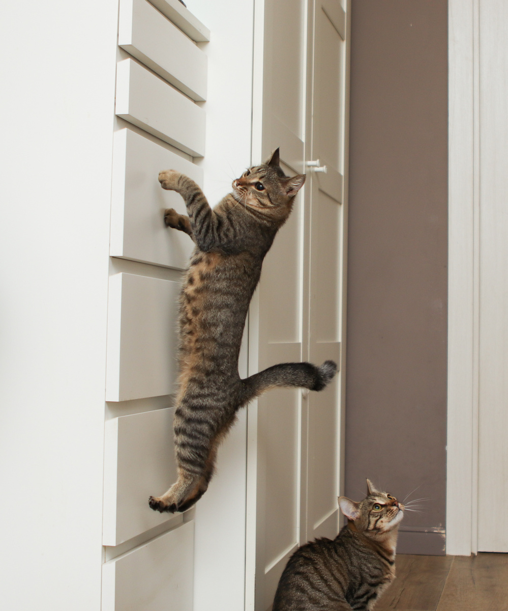 Щас я быстро туда и обратно и вернусь!