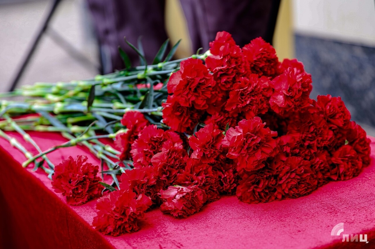    Фото: Луганский Информационный Центр/Анастасия Стеценко