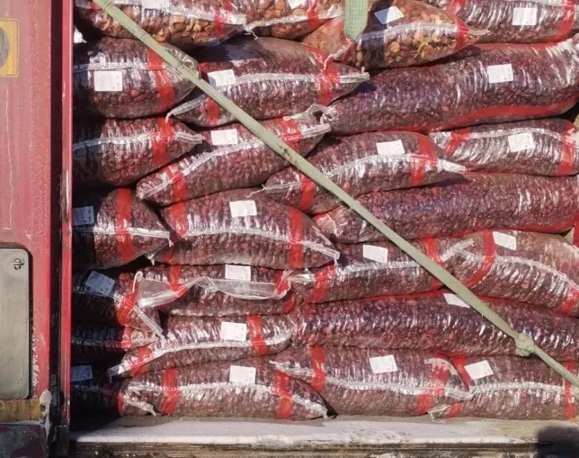 Фото: Уральское межрегиональное управление Россельхознадзора