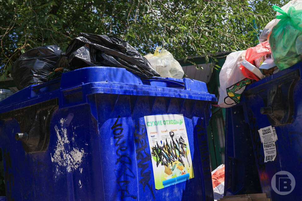    Фото: Дмитрий Рогулин / "Городские вести"