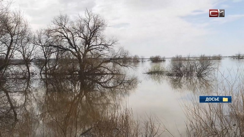    Власти Тюменской области готовятся к весеннему паводку
