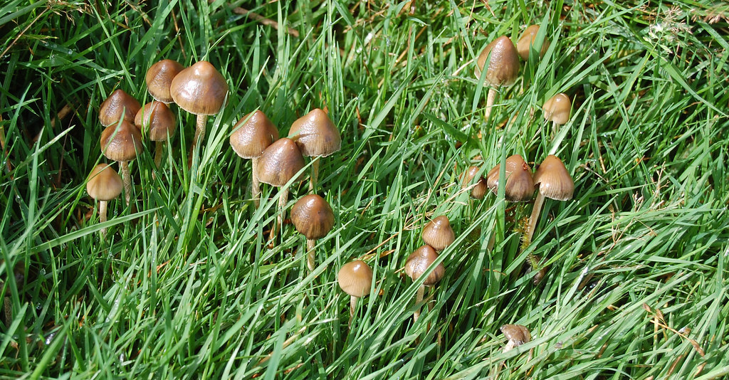 Фотография из интернета