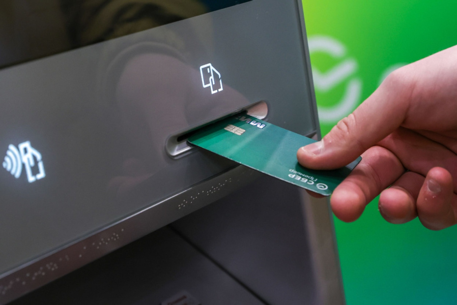    Наталья Шатохина/NEWS.ru