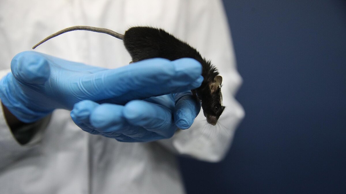 Фото: ИЗВЕСТИЯ/Павел Бедняков