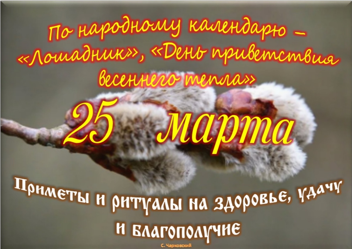 Встречаем новый день