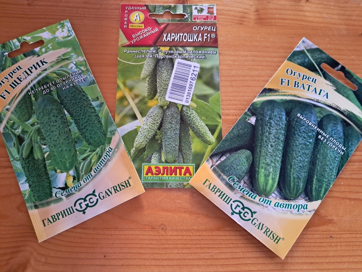 Партенокарпические огурцы