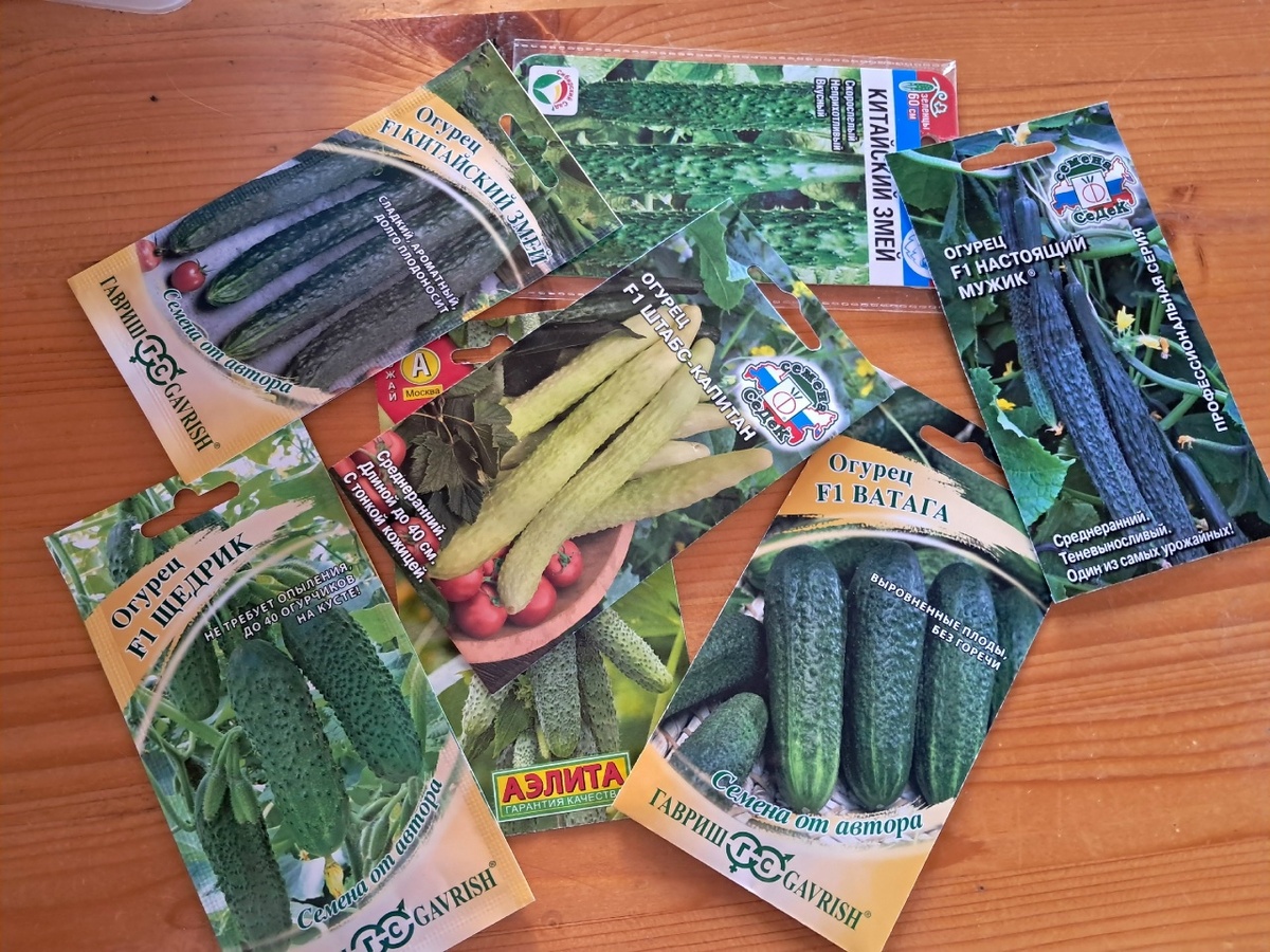 Буду сажать в этом году