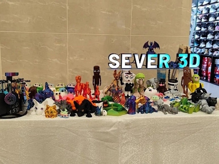     Фото предоставлено министерством труда, занятости и социального развития Архангельской области