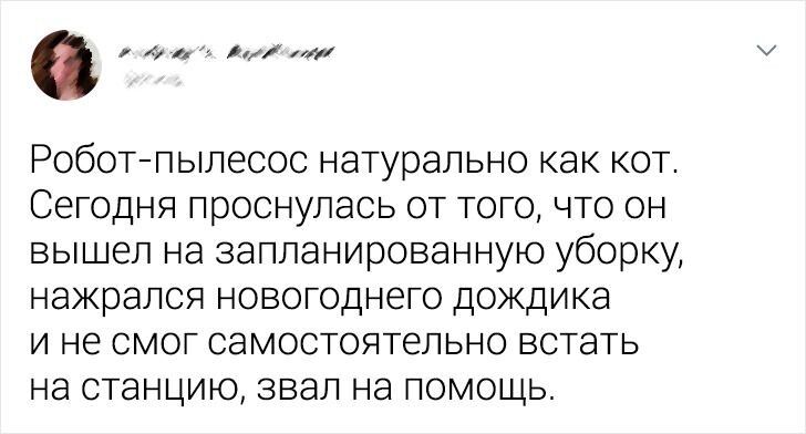 © thyme_suntea / twitter