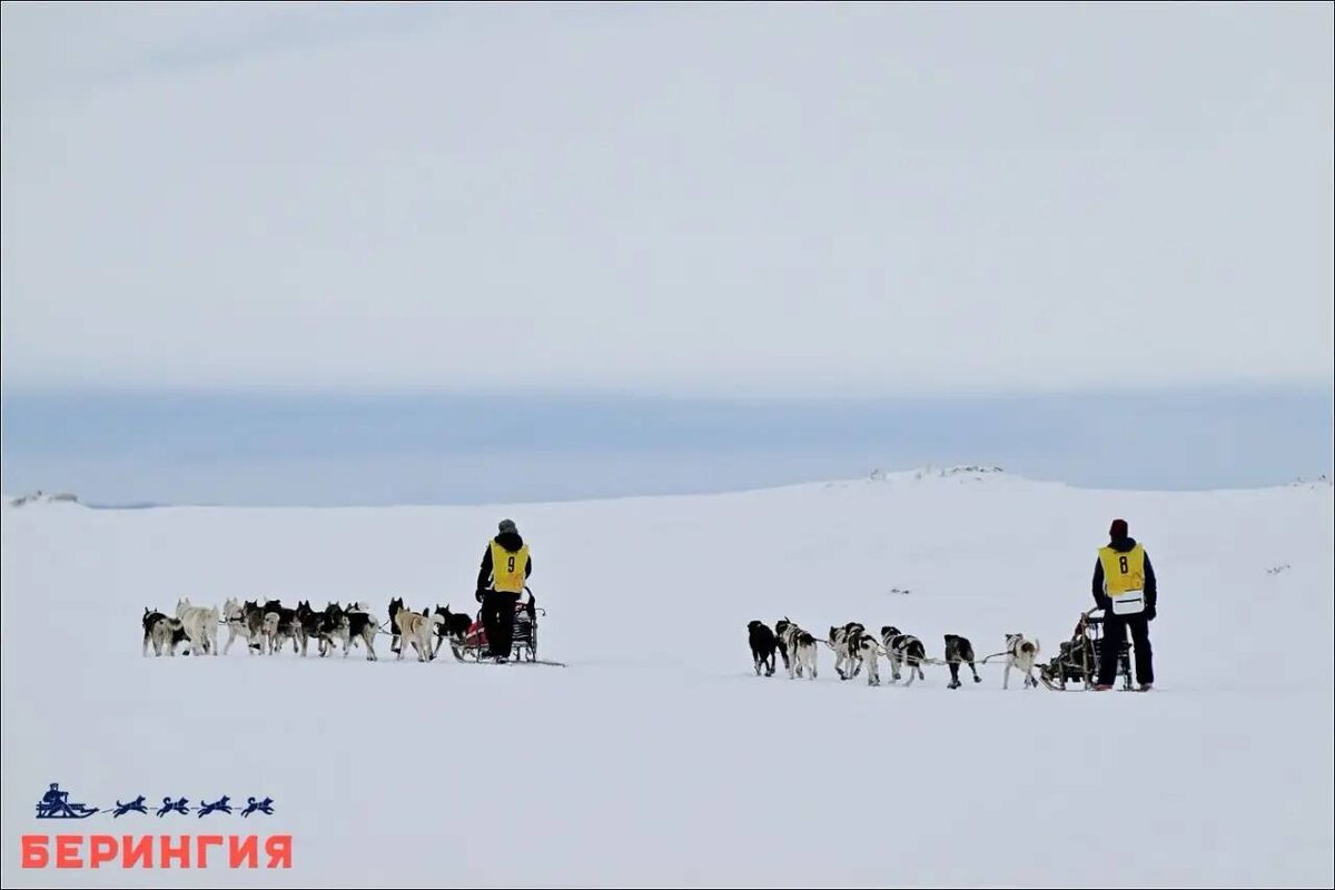 Фото из официального телеграм-канала гонки «Берингия»