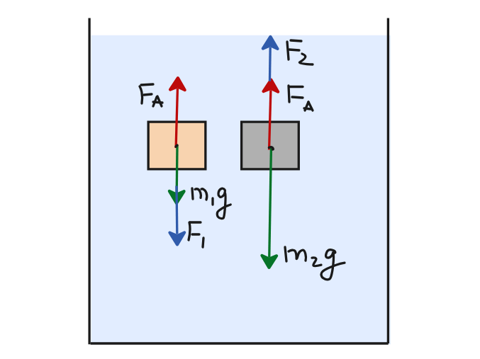 1 - сосновый брусок, 2 - алюминиевый брусок. F1 и F2 - силы, удерживающие бруски в воде.