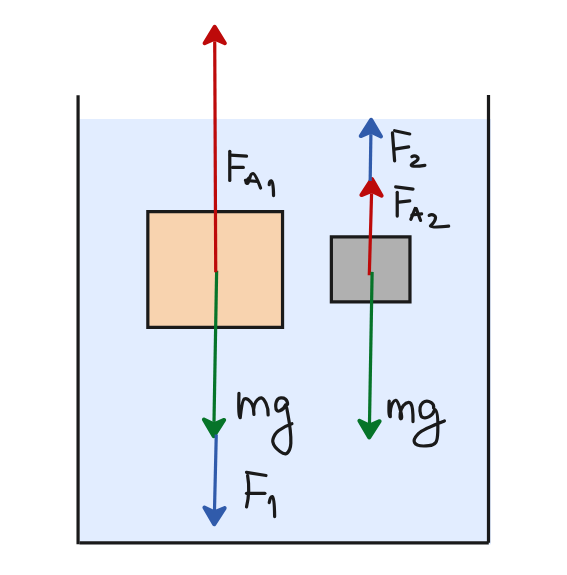1 - сосновый брусок, 2 - алюминиевый брусок. F1 и F2 - силы, удерживающие бруски в воде.
