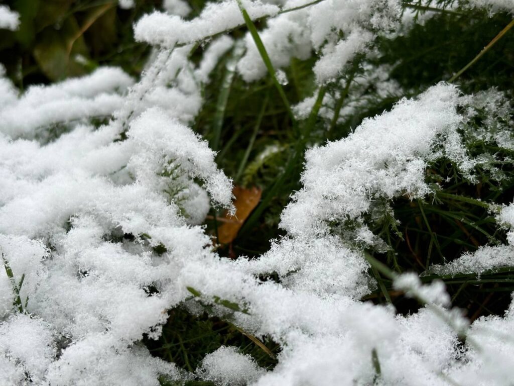    Фото: smolnarod.ru